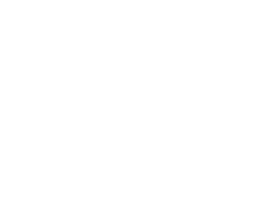 Epiona Logo white